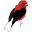 f