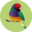 f