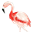 f