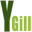y