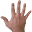f