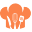 f