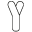 y