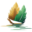 f