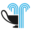 f