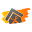 f