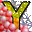 y