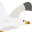 f