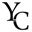 y