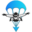 f