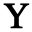 y