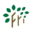 f