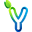 y