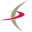 f