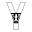 y