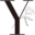 y