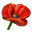 f