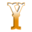 y