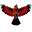 f