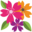 f