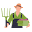 f
