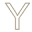 y
