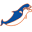 y