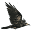 f
