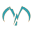 y