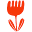 f