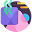 f