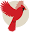 f