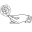 f