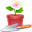 f