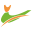 y