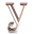 y