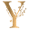 y