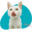 f