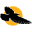 y