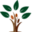 f
