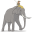 f