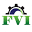 fiebervans.com