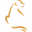 yellowdognc.com