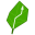 yourgreenwealth.com