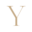 y