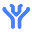 y