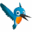 f
