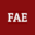 fae-consulting.de