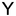 y