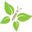 freetobewell.com